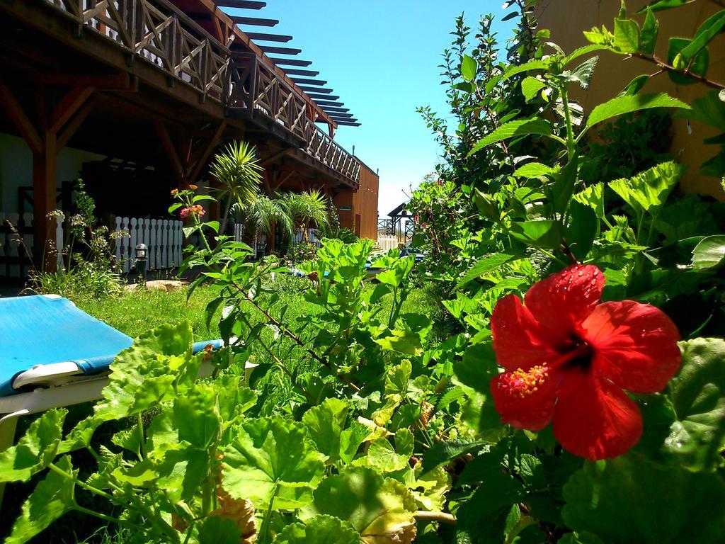 Hostal Playa Mazagón Exteriér fotografie